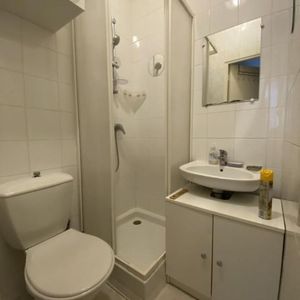 Location Appartement 1 pièce 15m² - Photo 3