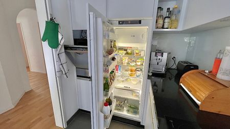 4½ Zimmer-Wohnung in Wädenswil (ZH), möbliert, auf Zeit - Photo 2