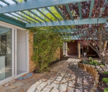 Marangaroo - Photo 3