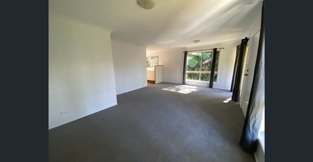 Freestanding Villa Living in quiet leafy location - Photo 1