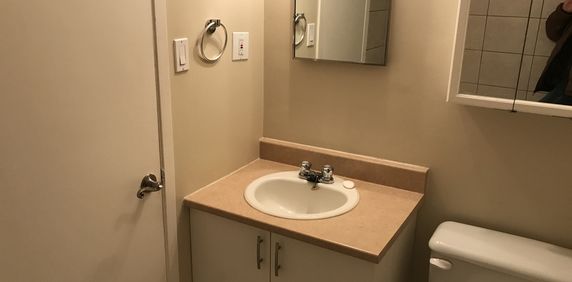 Rapibus Labrosse à Une Minute De Marche - Photo 2