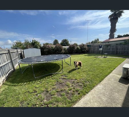 11 Monash Street, Traralgon, Vic 3844 - Photo 4