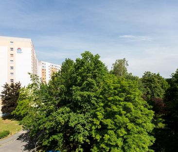 3-Raum Whg. mit umgebauter Küche/Fenster sowie HWR - Foto 4