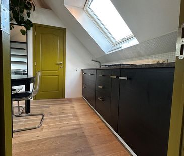 Gezellige studio/appartement met 2 slaapkamers en dakterras - Foto 2