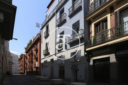 Monthly rental studio in the centre of Madrid - Photo 4