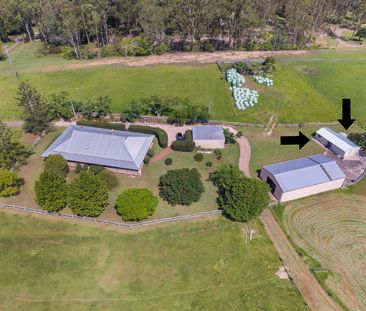 Cabin/37 Chittaway Road, Kangy Angy, NSW 2258 - Photo 4