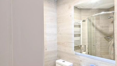 Studio for rent in Concepción, Madrid, all bills included - Photo 4