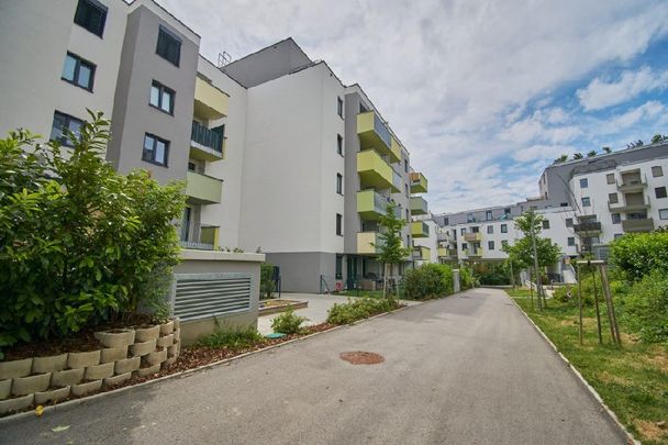 U1 OBERLAA - FAMILIENTRAUM - Photo 1