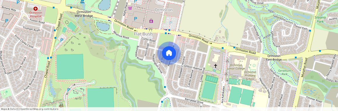 29 Pencaitland Drive, Flat Bush, Manukau City