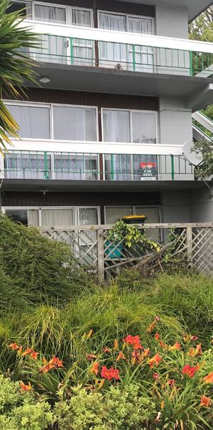 A lovely one bedroom unit on the second floor in a block of units located on a private tree lined cul-de-sac within a walking distance to Hamilton City. - Photo 1