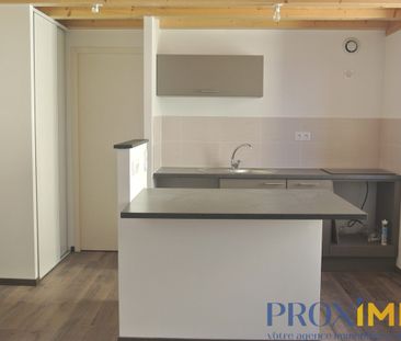 Location Appartement 1 pièce 20m² VOIRON 38500 - Photo 3