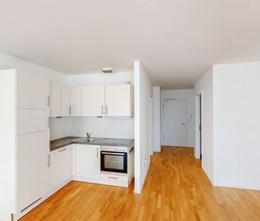 Wunderschönes 1-Zimmer Apartment im Milaneo zu vermieten! - Foto 1