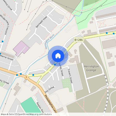 South Burn Terrace, New Herrington, Houghton-le-Spring