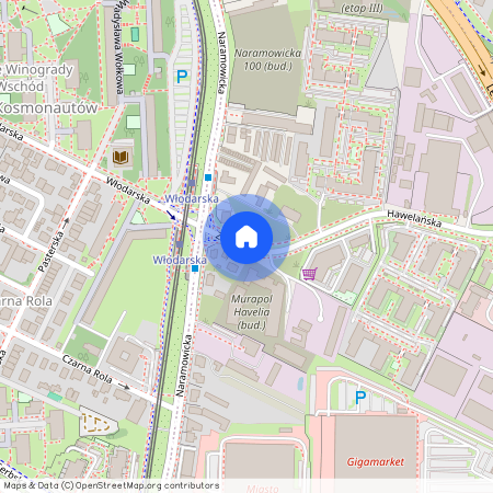 ul. Ziarnista, Winogrady, Stare Miasto, Poznań, wielkopolskie