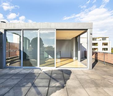 7 / 36 Hutchinson Street - Photo 6