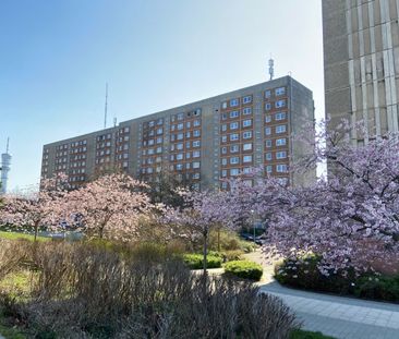 Einzug sofort möglich - 3-Raumwohnung mit Balkon und Aufzug - Photo 1