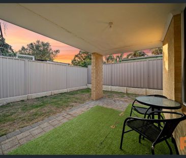 Walk your dog to the beach! - Photo 4