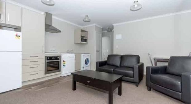 Furnished One Bedroom Apartment - Photo 1