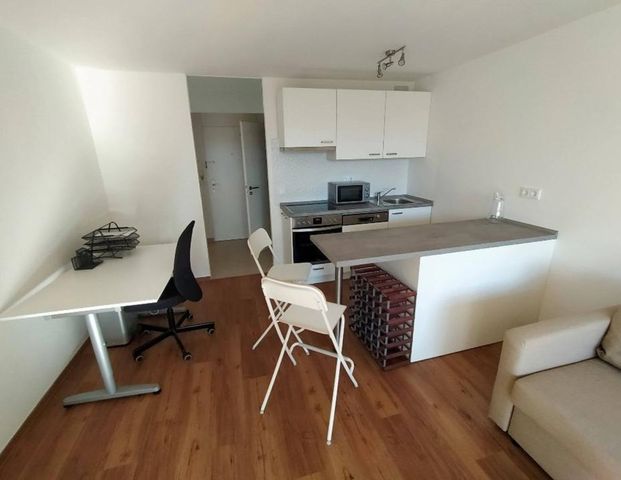 Geräumige, helle und ruhige Wohnung - Foto 1