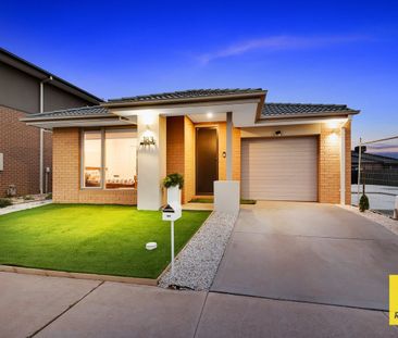 Bright & Beautiful! - Photo 1