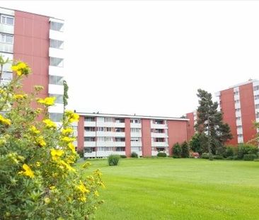 This is the end of your search for a place to live - Photo 1