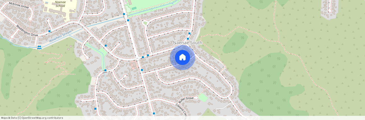 31, Grierson Street, Naenae, Lower Hutt