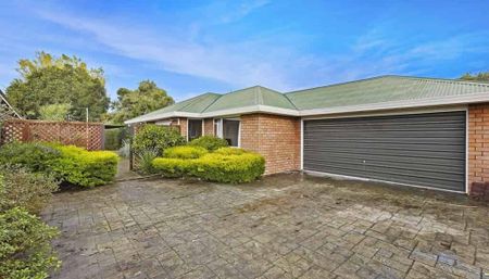 SOMERFIELD - Photo 2