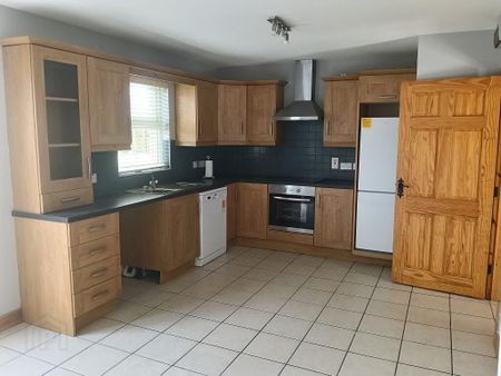 17 Garag Hill, Castlederg, BT81 7GX - Photo 2