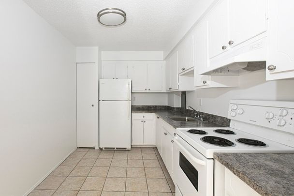 Appartement à louer - Montréal (Outremont) Appartement à louer - Montréal (Outremont) - Photo 1
