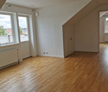 Pelargonvägen, Bro - Foto 5