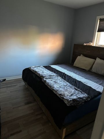 For Lease - 46 Elm Grove Avenue, Richmond Hill, Ontario - Photo 4