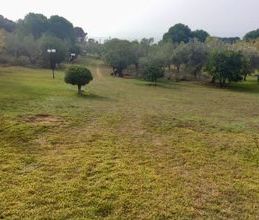 Μονοκατοικία για ενοικίαση - Παναγιά, - Photo 6
