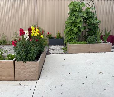 Castle Hill - Photo 3