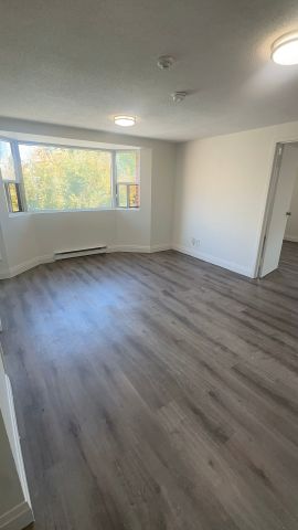 For Lease - 99 Bellevue Avenue Unit# 9, Toronto, Ontario - Photo 4