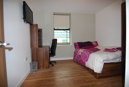 Student Properties to Let - Photo 4