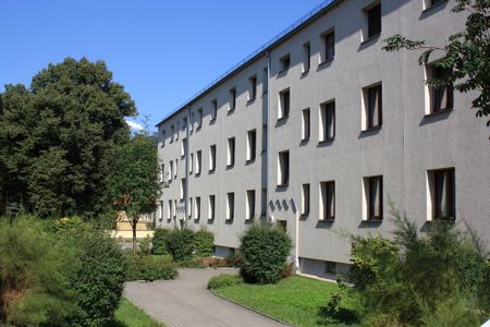 Tolle 2-Raum-Altbauwohnung in ruhiger Wohnanlage - Photo 4