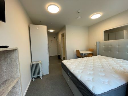 Welcome to 1101A at The Peak Apartments - Photo 5