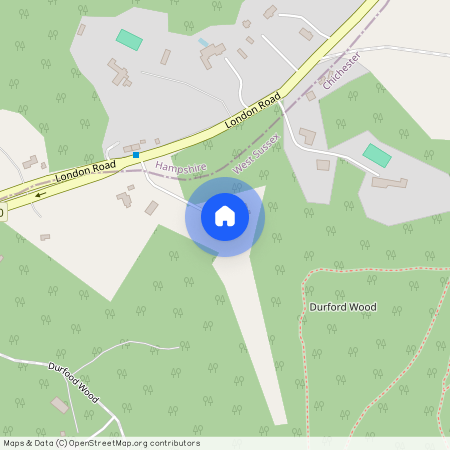 Durford Wood, Petersfield, Hampshire, GU31