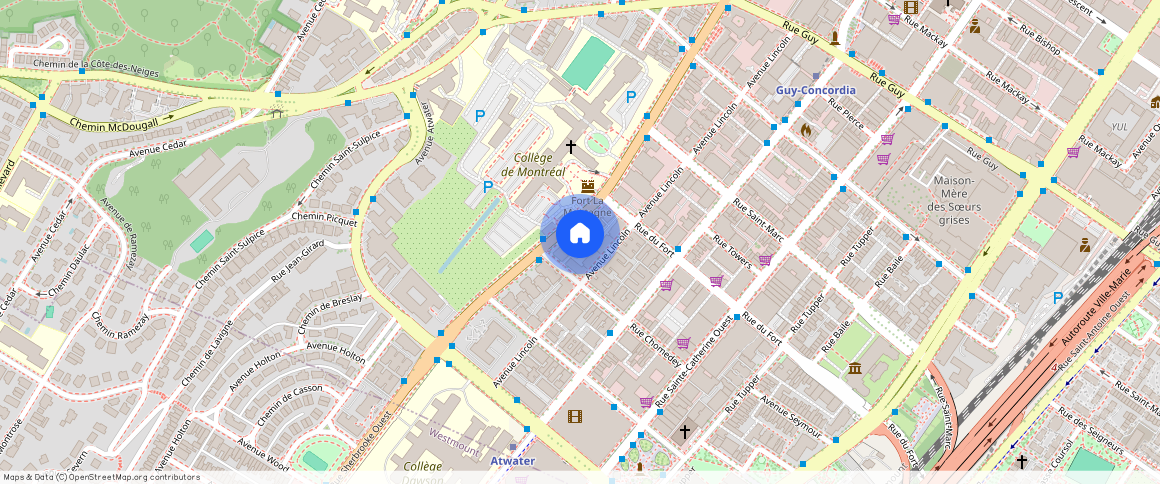 ** Rue Sherbrooke Ouest, Ville-Marie, Ville-Marie, Ile de Montréal, H3H 1G6