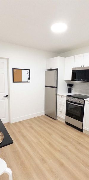 2 Bedroom Junior - 1683 Rue Rachel Est, Montréal - Photo 1