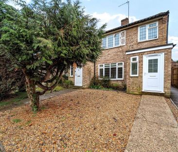 3 bedroom semi-detached house to rent - Photo 3