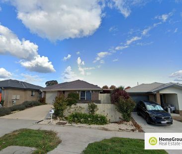 84 Lawrenson Circuit, Jacka ACT 2914 - House For Rent | Domain - Photo 2
