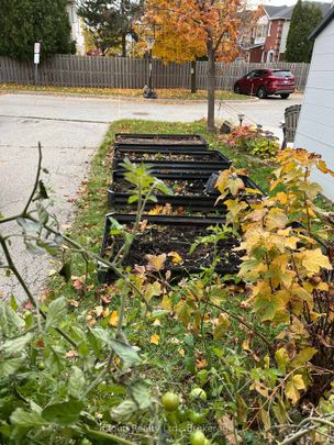 For Lease - 40 Glenashton Drive, Oakville, Ontario - Photo 1