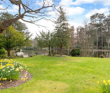 3 bedroom link detached house to rent - Photo 3