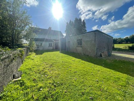 Knockalaghta, Ballintubber, Castlerea, Co. Roscommon, F45 Y953 - Photo 5