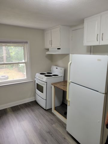 For Lease - 13 Pinegrove Avenue Unit# Upper, Toronto, Ontario - Photo 4