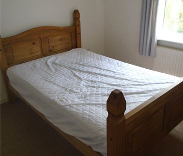 Student Properties to Let - Photo 4