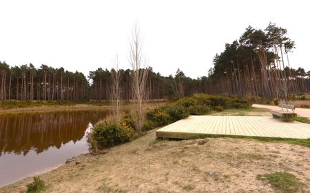 Goodwood Crescent, Crowthorne, Berkshire, RG45 - Photo 3