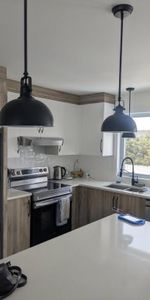 Maison à louer à St-Nicéphore ( Dr'ville) - Photo 4