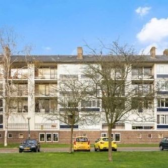 Simon van Leeuwenstraat, 5652 Eindhoven, Nederland - Foto 2